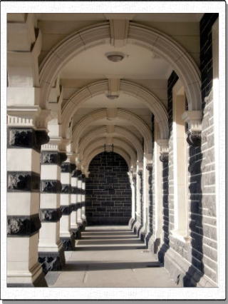 �_�j�[�f���w�̉�L