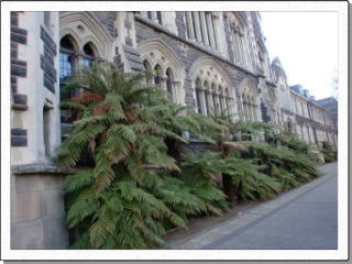 オタゴ大学旧校舎