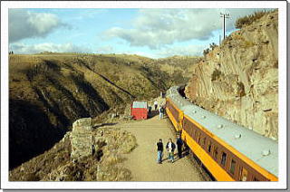 �^�C�G���k�J�S��